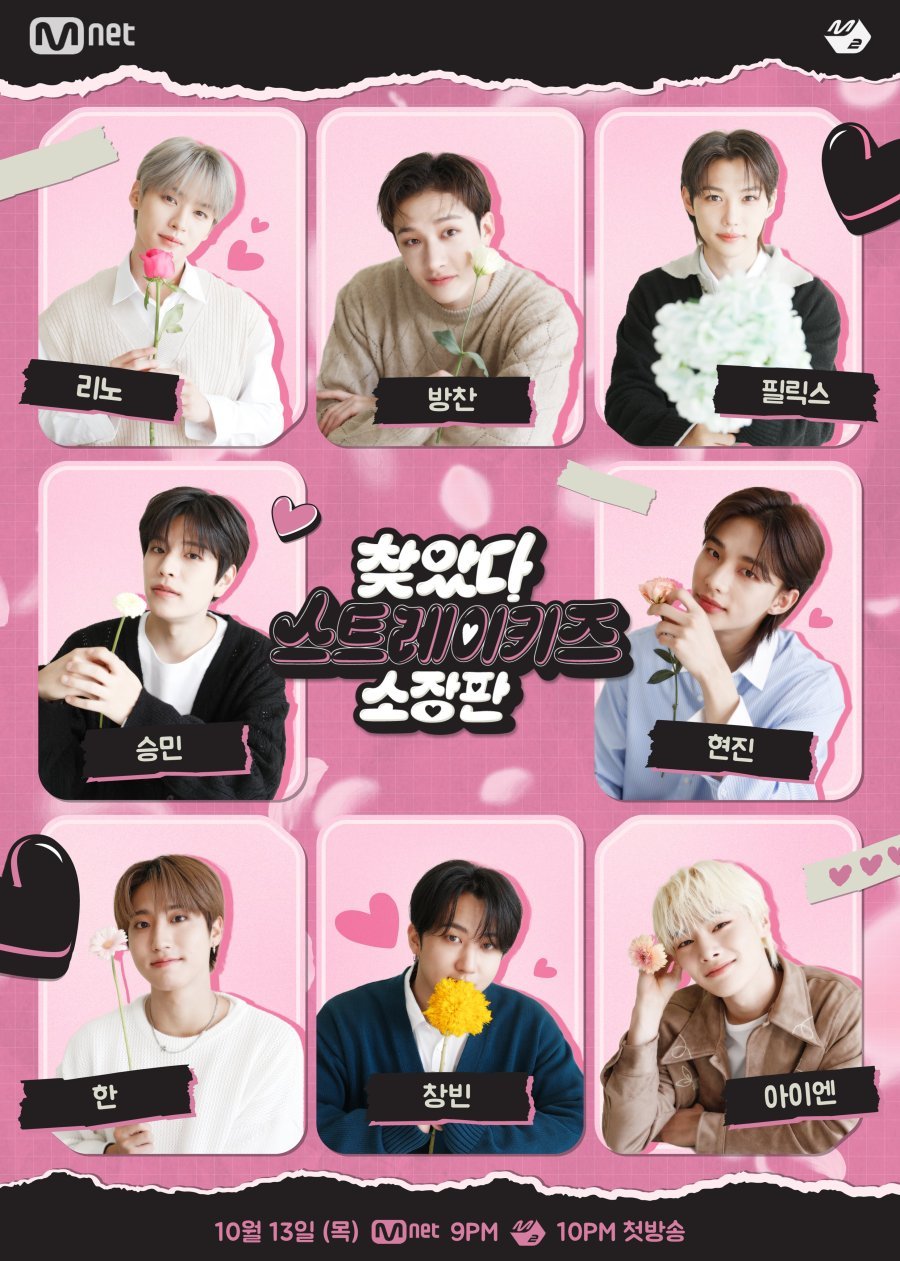 В поисках Stray Kids - главный постер